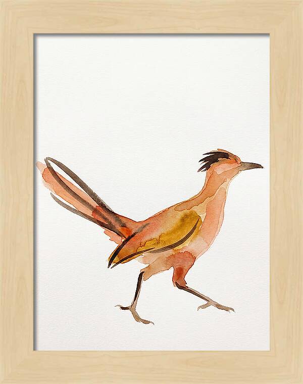 Roadrunner In Watercolor Style