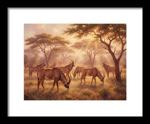 Roan Antelope Gathering