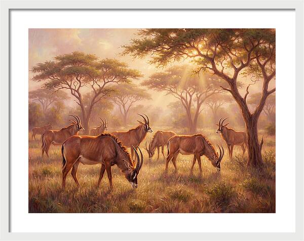 Roan Antelope Gathering