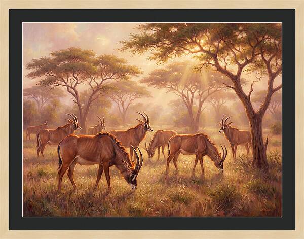 Roan Antelope Gathering