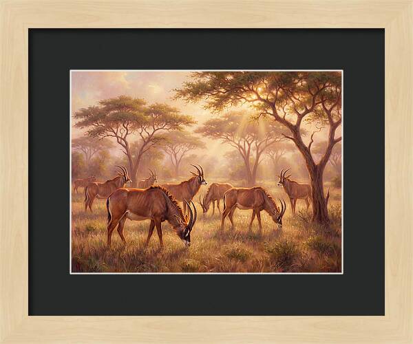 Roan Antelope Gathering