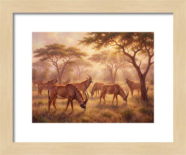 Roan Antelope Gathering