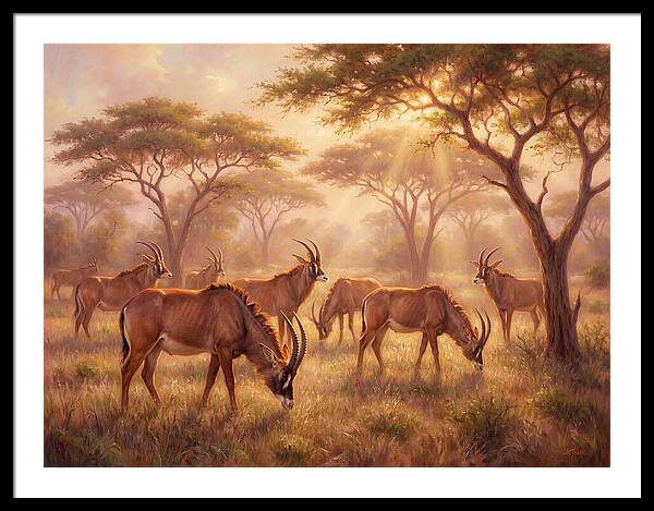 Roan Antelope Gathering