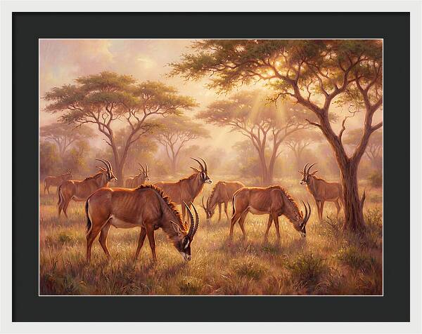 Roan Antelope Gathering