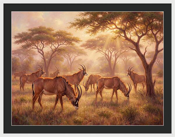 Roan Antelope Gathering