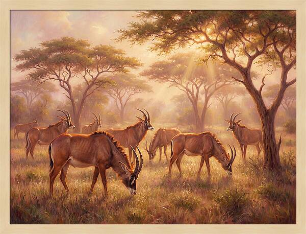Roan Antelope Gathering