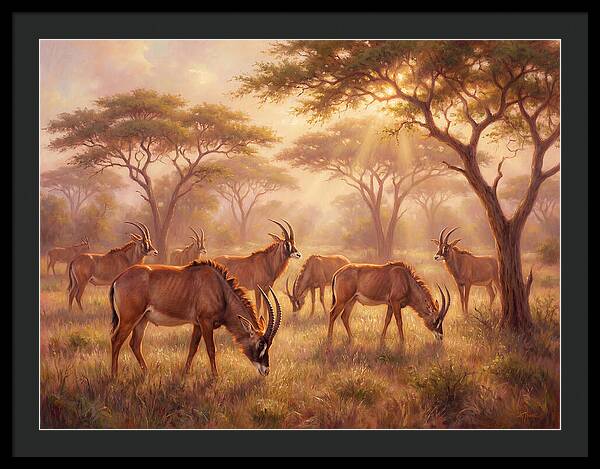 Roan Antelope Gathering