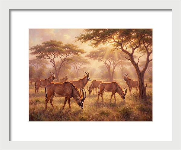 Roan Antelope Gathering