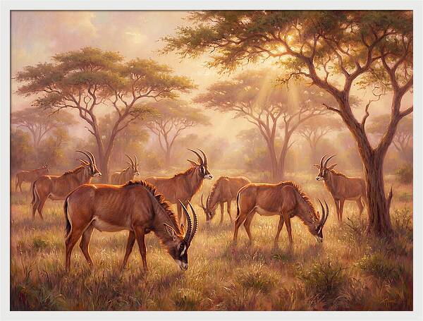 Roan Antelope Gathering