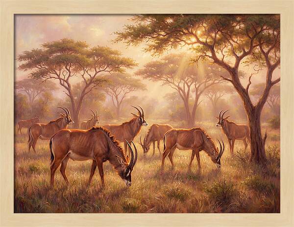 Roan Antelope Gathering