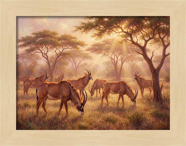 Roan Antelope Gathering