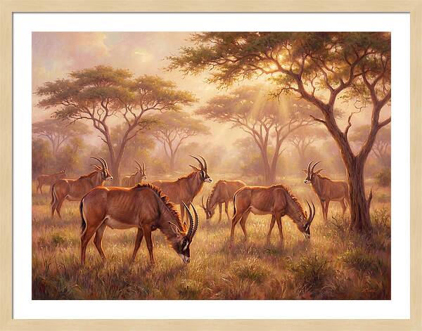 Roan Antelope Gathering