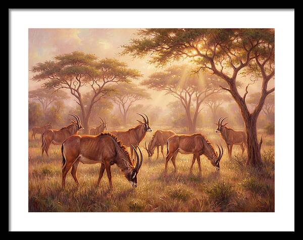Roan Antelope Gathering