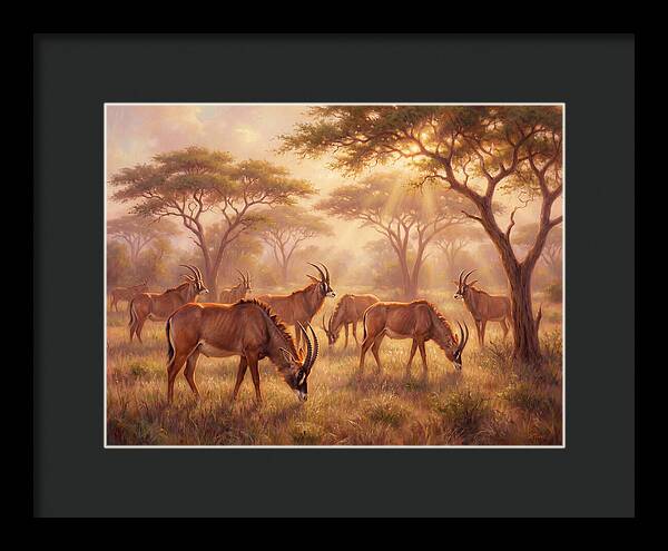 Roan Antelope Gathering
