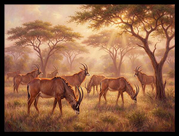 Roan Antelope Gathering