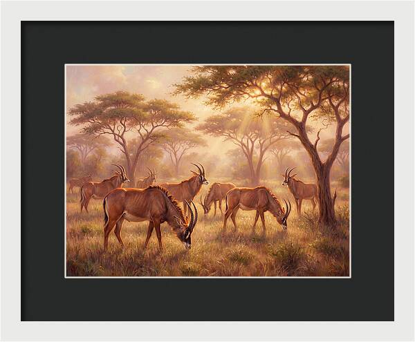 Roan Antelope Gathering