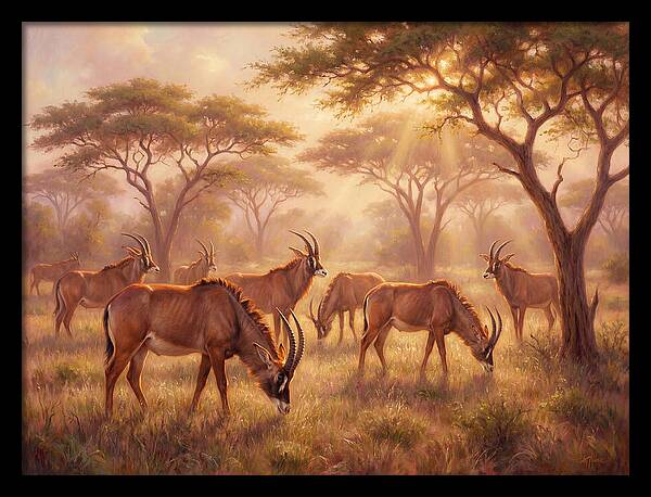 Roan Antelope Gathering