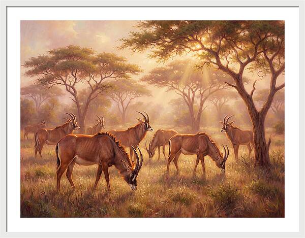 Roan Antelope Gathering