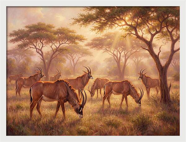 Roan Antelope Gathering