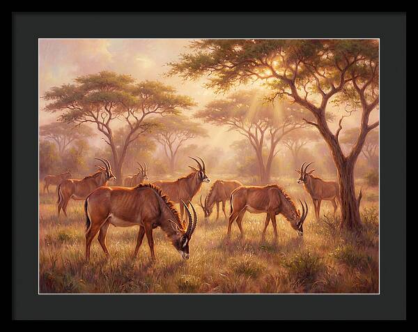 Roan Antelope Gathering