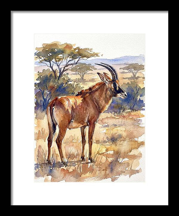 Roan Antelope In Nature