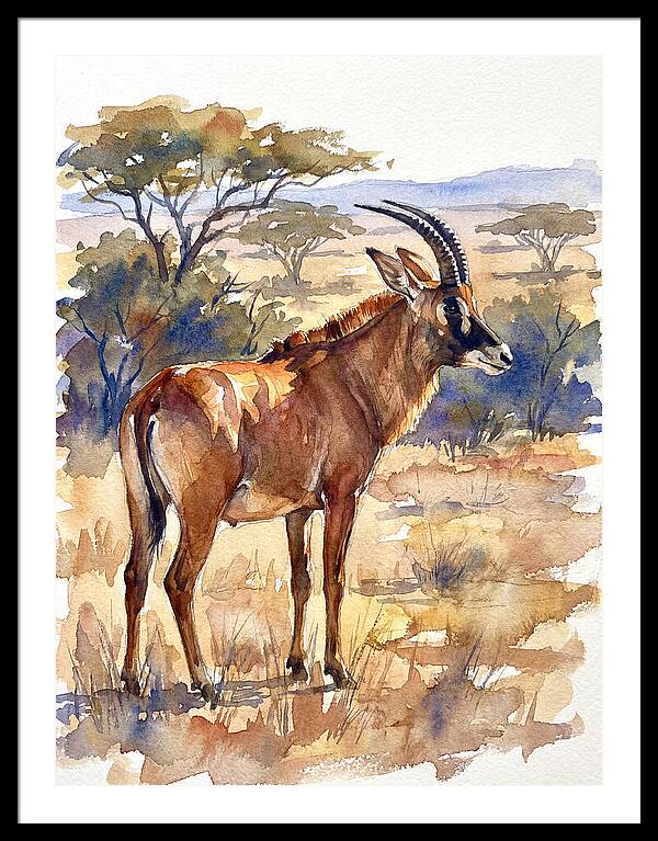 Roan Antelope In Nature