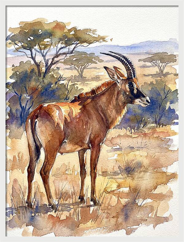 Roan Antelope In Nature