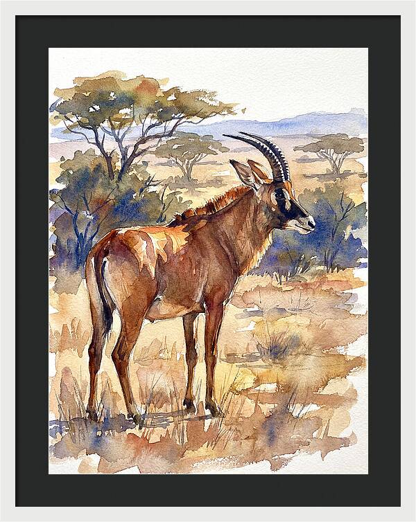 Roan Antelope In Nature