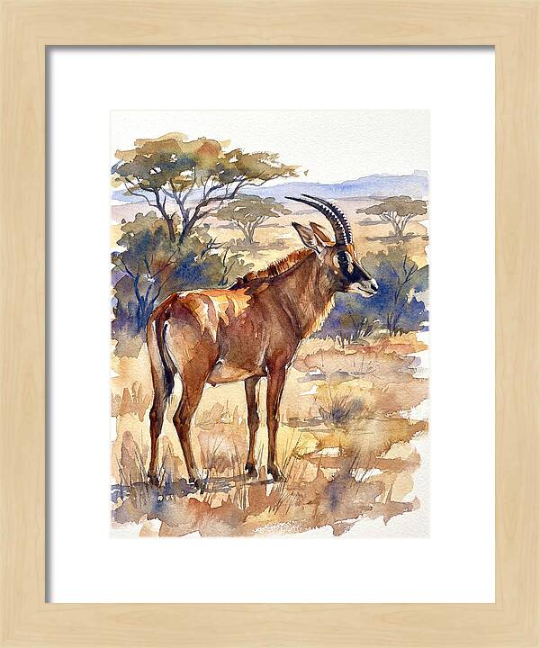 Roan Antelope In Nature