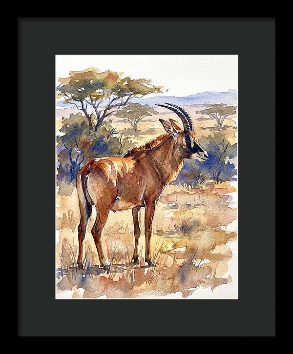 Roan Antelope In Nature
