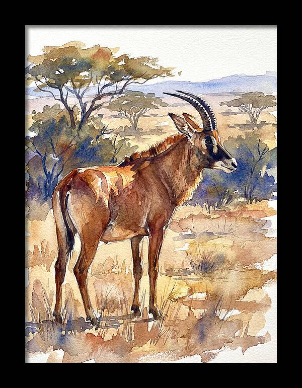 Roan Antelope In Nature