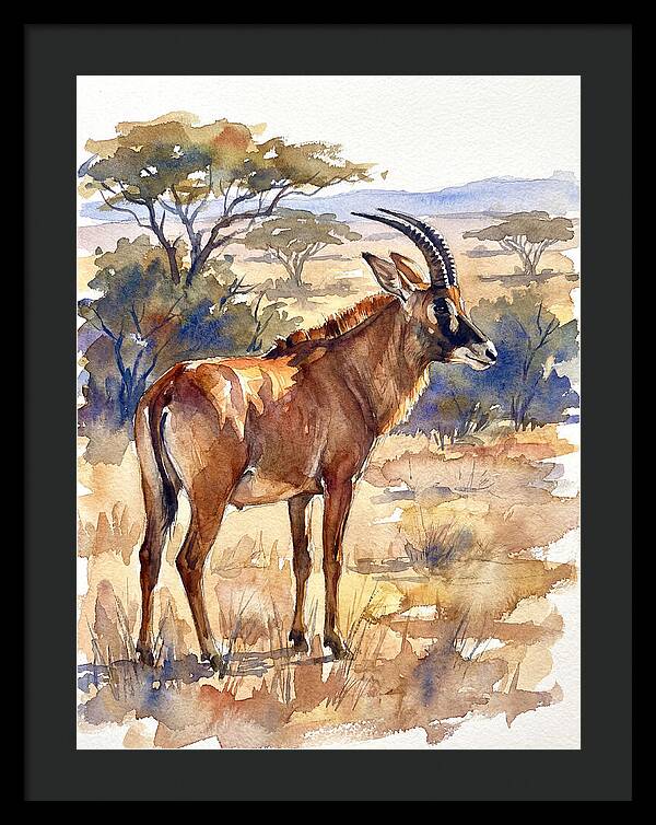 Roan Antelope In Nature