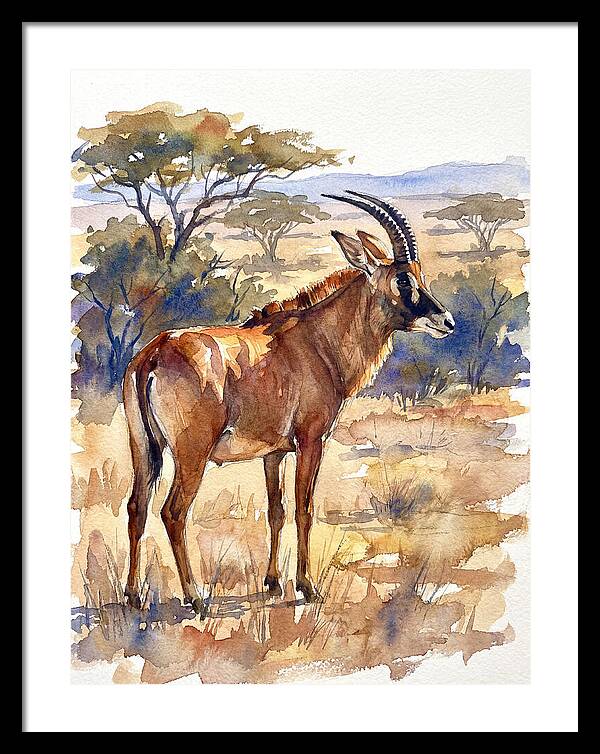 Roan Antelope In Nature
