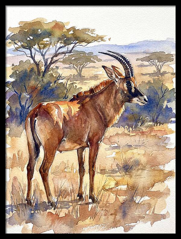 Roan Antelope In Nature