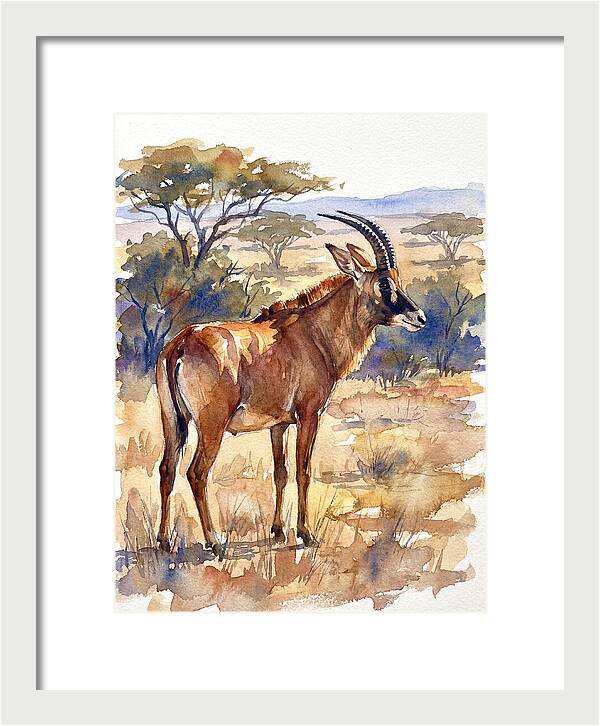 Roan Antelope In Nature