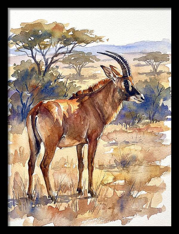 Roan Antelope In Nature