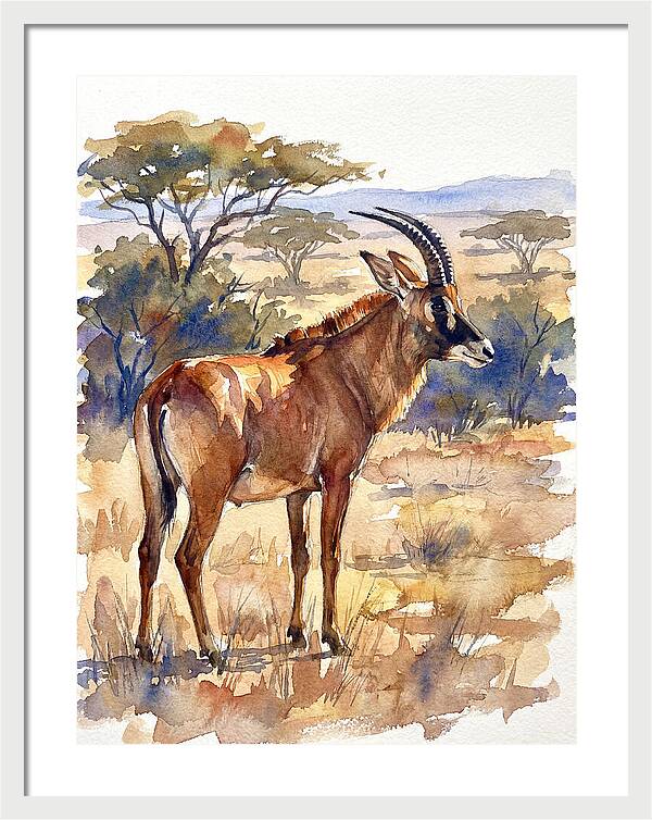 Roan Antelope In Nature