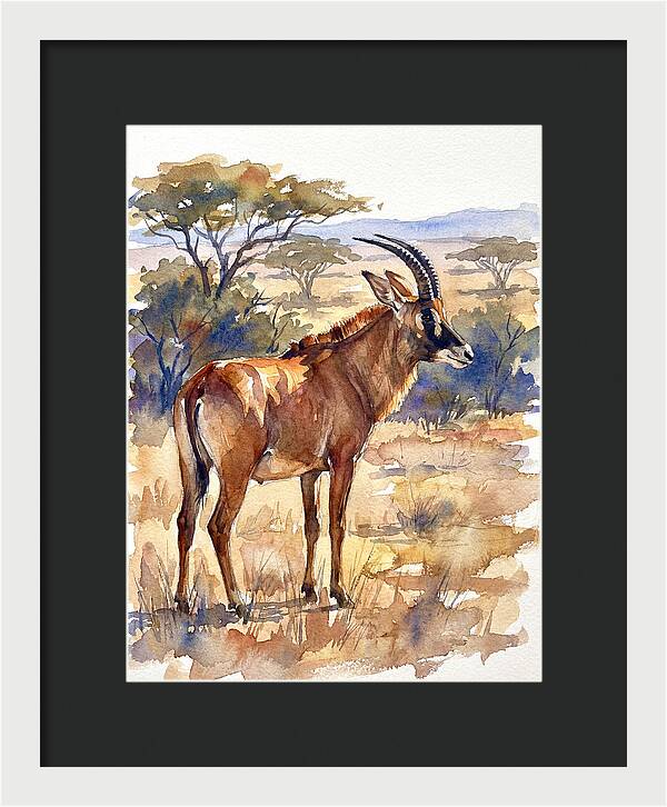 Roan Antelope In Nature