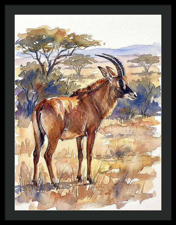 Roan Antelope In Nature