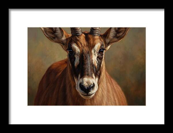Roan Antelope Portrait