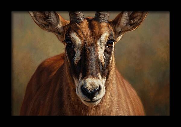 Roan Antelope Portrait