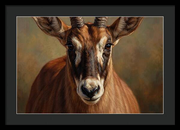 Roan Antelope Portrait