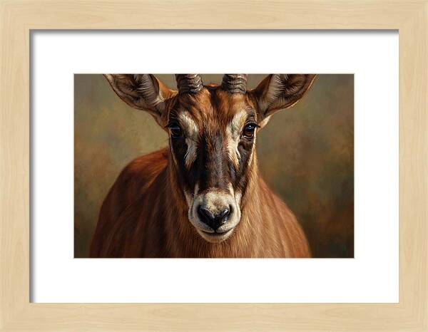 Roan Antelope Portrait