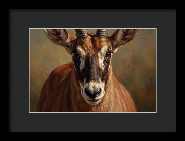 Roan Antelope Portrait