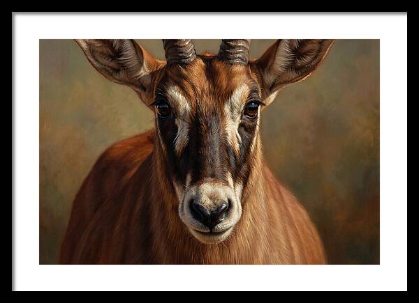 Roan Antelope Portrait