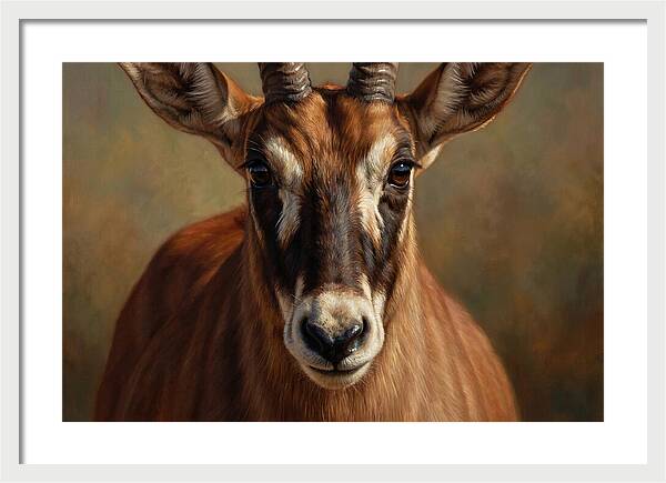 Roan Antelope Portrait