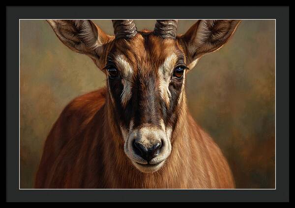 Roan Antelope Portrait