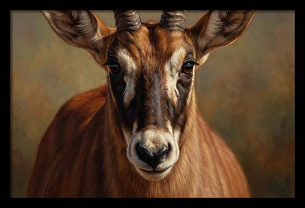 Roan Antelope Portrait
