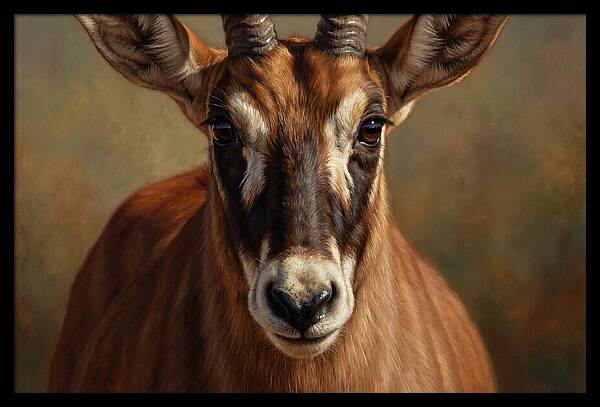 Roan Antelope Portrait