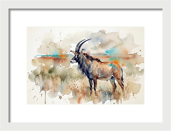 Roan Antelope Watercolor